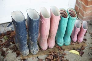 Adopting Alongside Birth Children