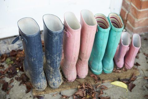 Adopting Alongside Birth Children