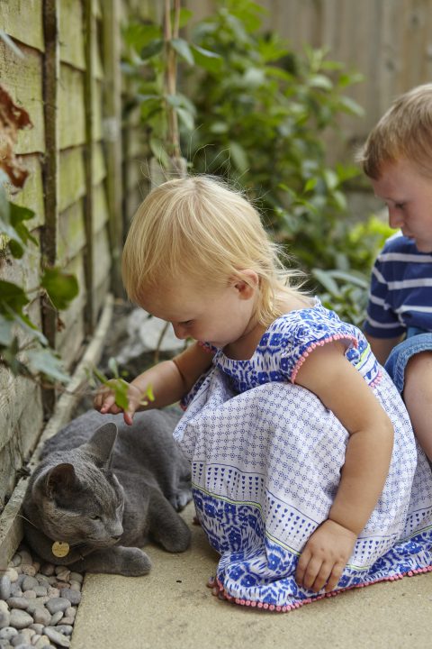 Can I Adopt with Pets